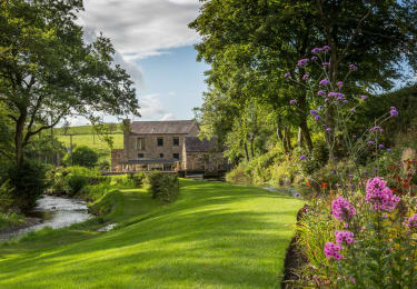 The Mill
